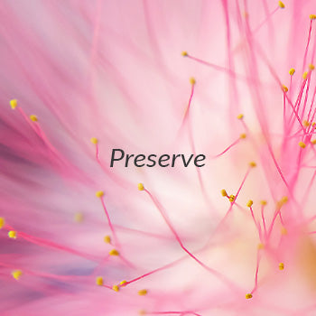 Preserve