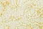 Decyl Glucoside