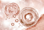 Isononyl Isononanoate